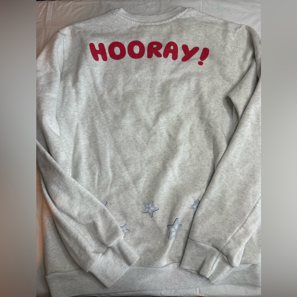 Gray Sweatshirt bluey and friends 'HOORAY!' Print size M